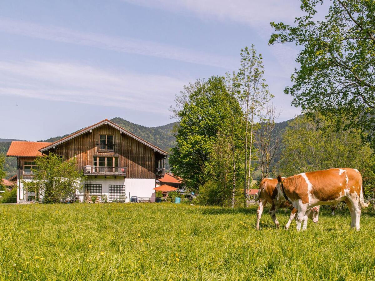 לנגריס Alpen Chalet Alte Talstation מראה חיצוני תמונה